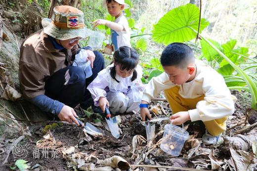 “探秘独角仙”半日昆虫独立营！季节限定，仅开4期，适合大班及以上儿童——春日徒步山林，探索昆虫，遇见幼虫，解锁童趣~~ 商品图5