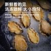 海朴 鲍鱼速冻新鲜海鲜300克*3盒 商品缩略图3