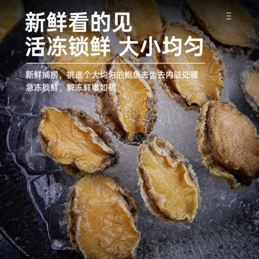 海朴 鲍鱼速冻新鲜海鲜300克*3盒 商品图3