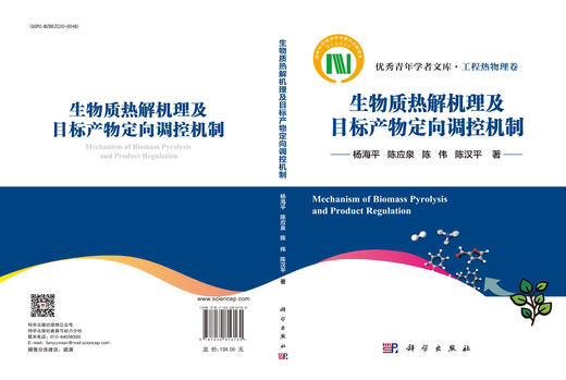 生物质热解机理及目标产物定向调控机制 商品图4