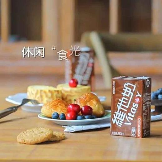 维他巧克力味豆奶 250ml 商品图3