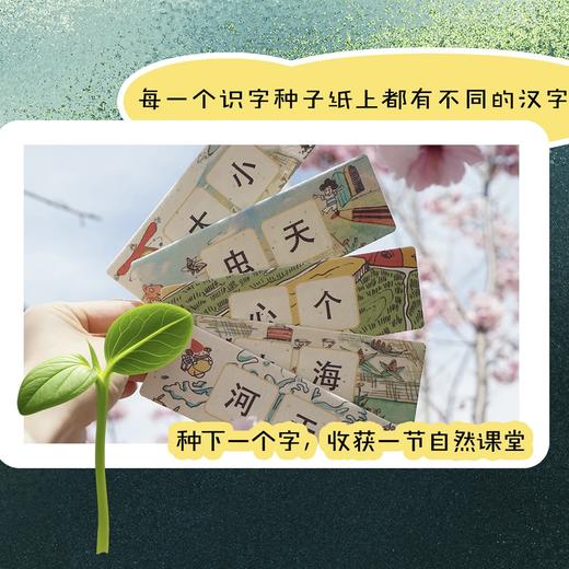 三个小小人识字萌芽营种植盒 商品图5