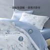 【水星家纺】60支全棉床上四件套抗菌套件朝颜日暮高级感床品 商品缩略图2