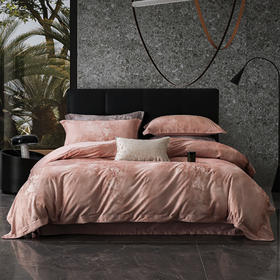 60支全棉磨毛印花四件套