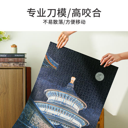 TOi图益-潮玩拼图摄影系列-天坛·夜语-1000片-分包款 商品图5