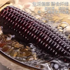 东北黑玉米10个/箱真空包装【龙菲精选】 商品缩略图3