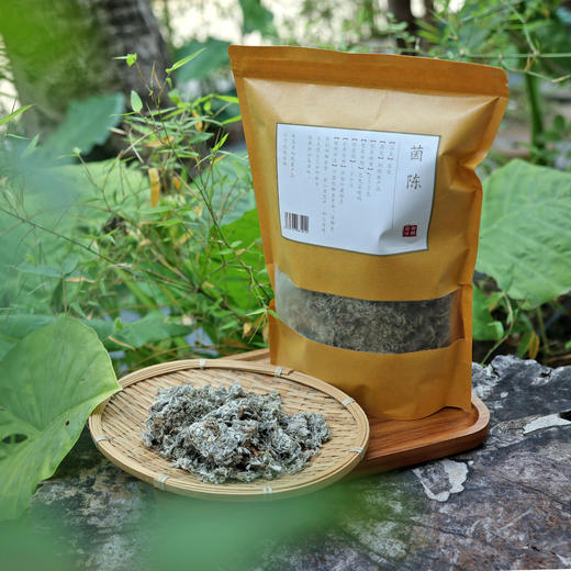 茵陈︱500g 商品图2