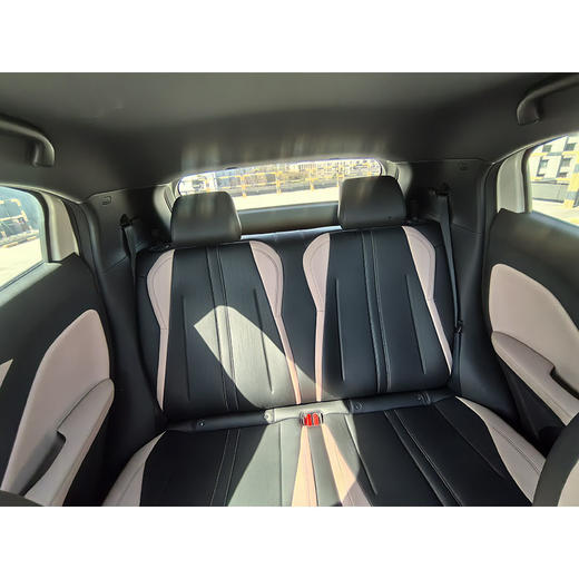 比亚迪 海鸥 305km 活力版【长租-北京】 商品图8