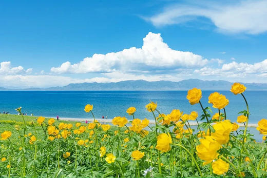 2025新疆之旅-伊犁双飞8日漫游 商品图1