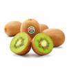 佳沛新西兰绿奇异果12粒（33# 1.1kg-1.2kg） 商品缩略图2
