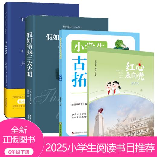 2025小学生推荐书目（6年级）红色经典 商品图0
