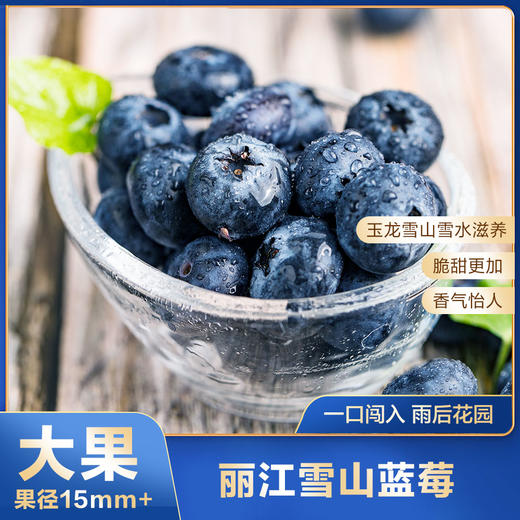 雪山恬-丽江雪山蓝莓大果12盒(125g/盒,果径15mm+) 商品图0