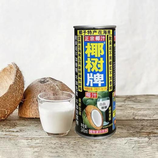 椰树椰汁植物蛋白饮料 245ml 商品图3