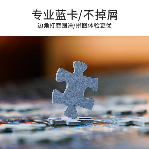 TOi图益-潮玩拼图摄影系列-天坛·夜语-1000片-分包款 商品图4