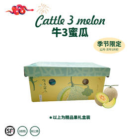 甄选 | 海南牛3蜜瓜 甜瓜贵族 海南岛阳光的味道 香甜多汁 【顺丰/德邦包邮】