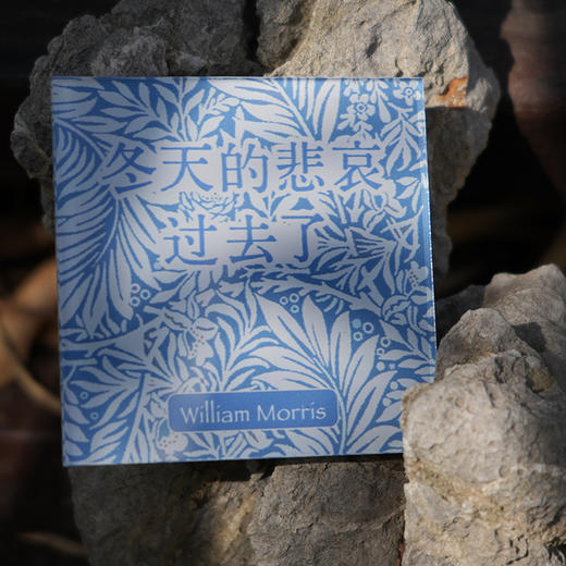 《莫里斯传》周边冰箱贴全套5个 春夏秋冬爱 商品图1