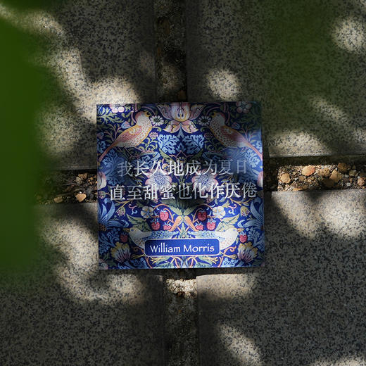 《莫里斯传》周边冰箱贴全套5个 春夏秋冬爱 商品图4