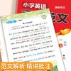 小学英语高分范文一本通3-6年级高分作文书大全写 作技巧素材积累 商品缩略图4
