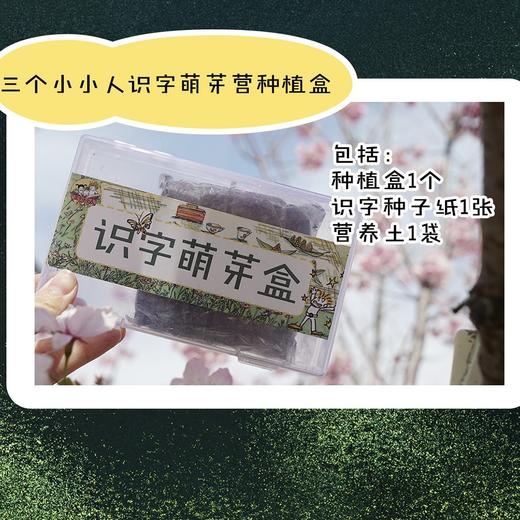 三个小小人识字萌芽营种植盒 商品图3