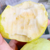 【分仓直发包邮】福建树上熟奶油芭乐3斤（6-10个） 商品缩略图4
