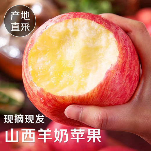 羊奶苹果，它来自山西万荣，当地果农坚持用新鲜羊奶、大豆蛋白营养液精心浇灌。咬上一口，瞬间被征服，它的果皮薄如蝉翼，果肉脆嫩，汁水丰沛，一口下去，爆汁感满满，甜度高达 17 度 商品图0