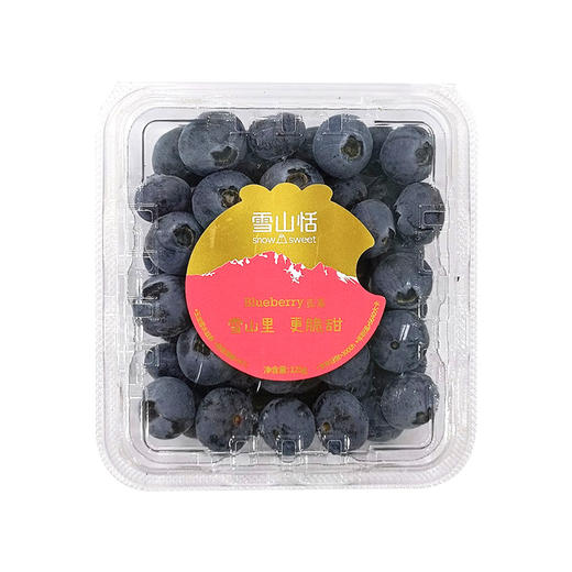 雪山恬-丽江雪山“巨无霸”蓝莓12盒(125g/盒,果径18mm+) 商品图1