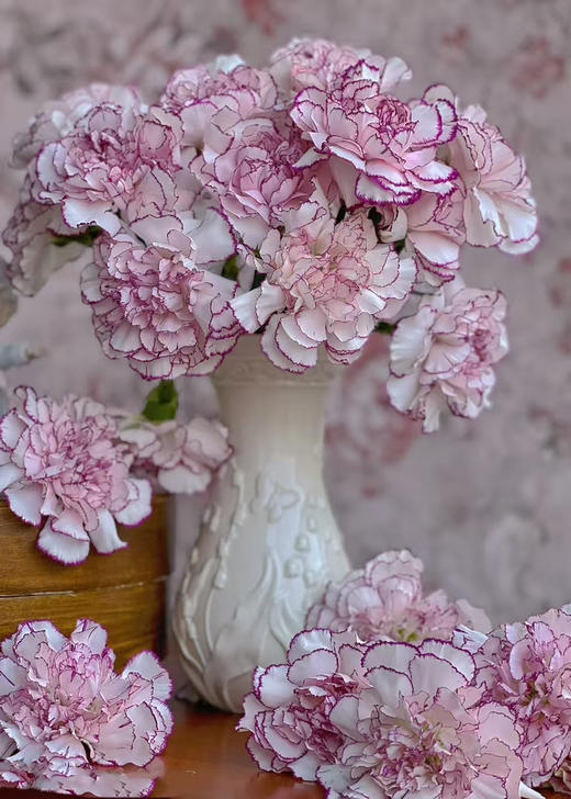 紫精灵康乃馨，雅致色调，20支/束 商品图0