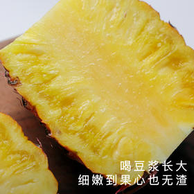 艾格吃饱了 海南金钻凤梨肉质不柴无渣