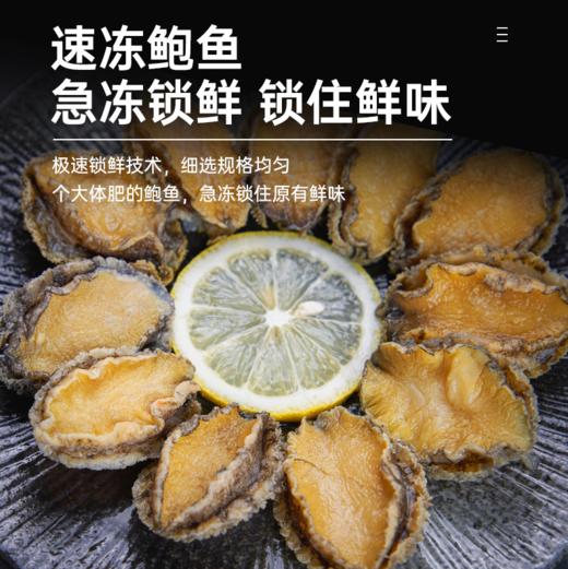 海朴 鲍鱼速冻新鲜海鲜300克*3盒 商品图1