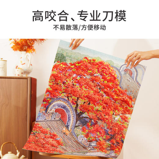 TOi图益-潮玩拼图抬头看树系列-凤凰花开-1000片-分包款 商品图4