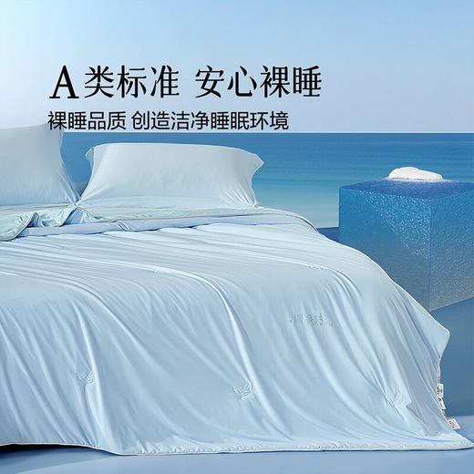 水星集团百丽丝家纺A类柔软顺滑清净眠除臭双感夏被 商品图0