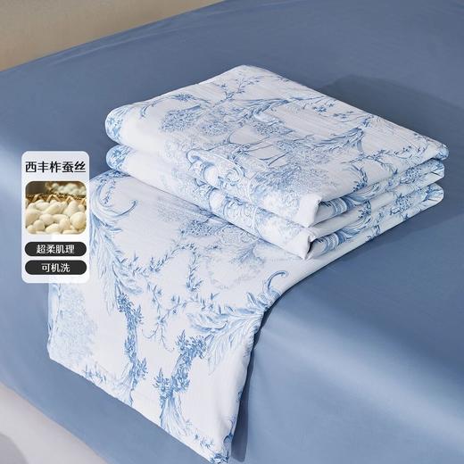 水星家纺 A类抑菌亲肤水洗蚕丝夏被 南法·蓝调庄园床上用品 商品图1