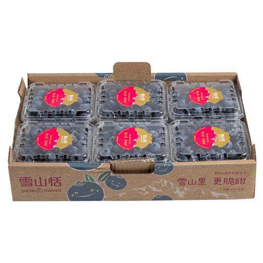 雪山恬-丽江雪山“巨无霸”蓝莓12盒(125g/盒,果径18mm+) 商品图2