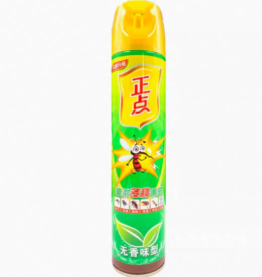 正点无味清新杀虫气雾剂600ML 商品图0