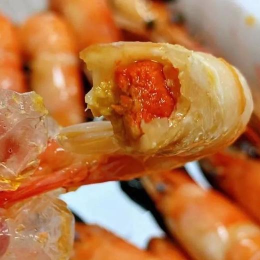 【海鲜精选】水部楼•罗氏虾 精选鲜活罗氏虾 升级秘制捞汁 壳薄体肥 肉质紧致Q弹 连虾头都塞满了黄 商品图3