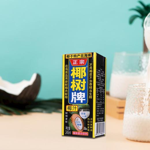椰树牌椰汁利乐包 245ml*6 商品图2