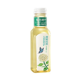 东方树叶茉莉花茶饮料 500ml/瓶