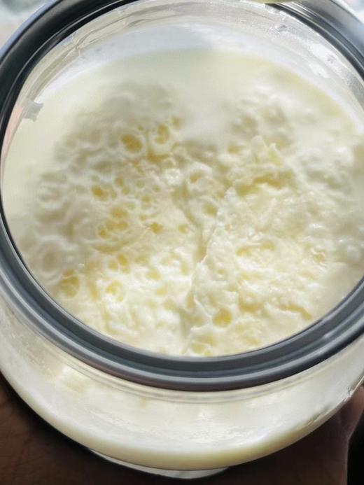 必吃新疆美味！马三三【奶皮子酸奶】浓厚香醇 生牛乳与乳酸菌自然发酵 商品图9