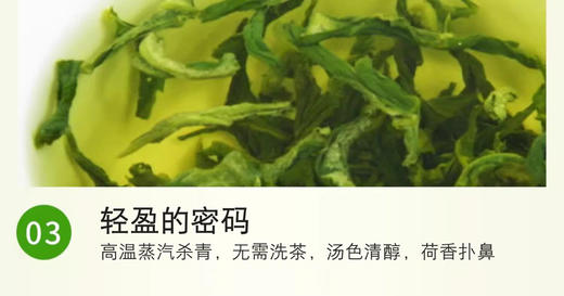 YXG荷叶茶 商品图2