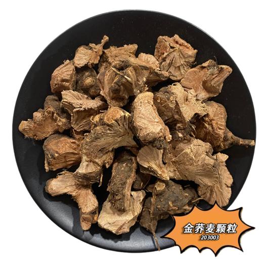 金荞麦 云南特有金荞麦 荞麦根 商品图1