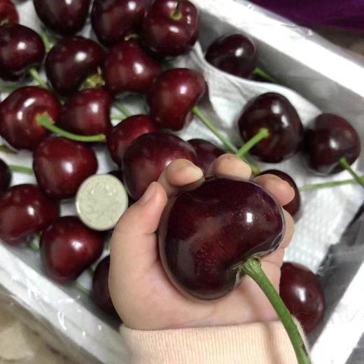 大连大樱桃 商品图3
