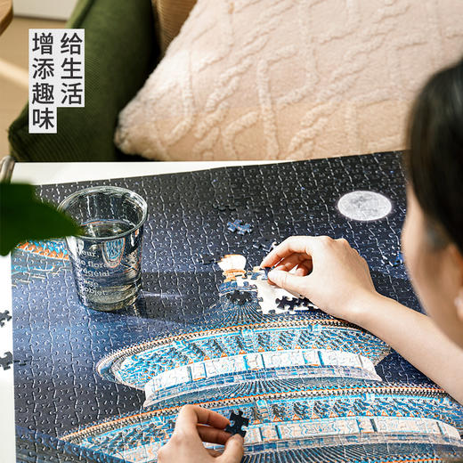 TOi图益-潮玩拼图摄影系列-天坛·夜语-1000片-分包款 商品图3