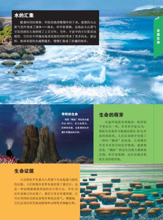《史前动物大百科》 商品图7