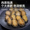 海朴 鲍鱼速冻新鲜海鲜300克*3盒 商品缩略图2