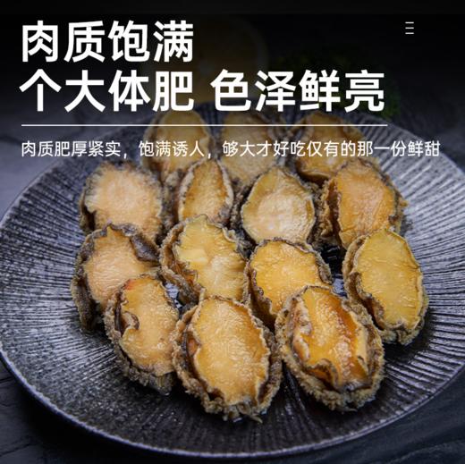 海朴 鲍鱼速冻新鲜海鲜300克*3盒 商品图2