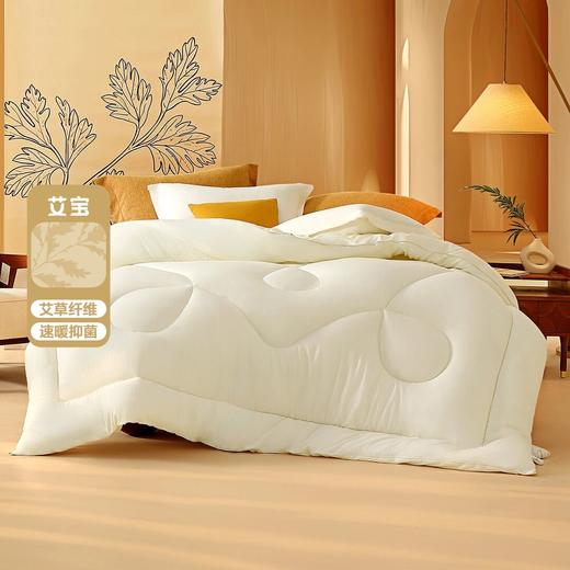水星家纺A类裸睡品质艾宝抑菌四季被冬被子保暖被芯床上用品严选 商品图1