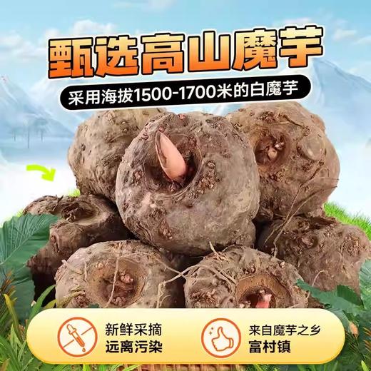 【1件起全国包邮】魔芋辣条香辣圈圈 无糖麻辣魔芋干（10g*10包） 商品图4