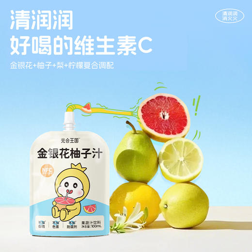 光合王国金银花柚子汁 12袋送1袋 到手13袋一年四季必备“灭火器” G033 商品图3