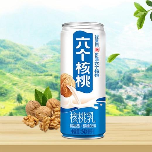 养元六个核桃精品型核桃乳 240ml 商品图2