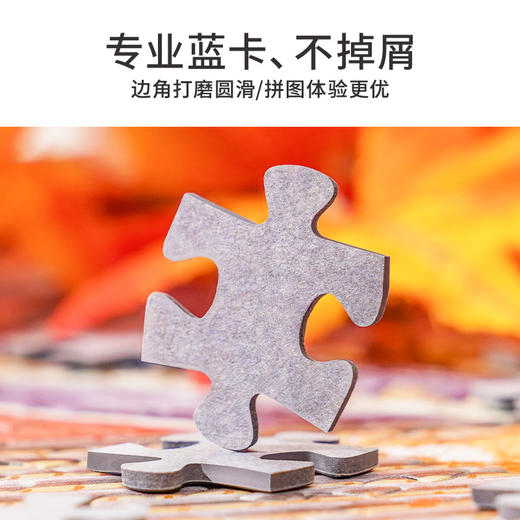 TOi图益-潮玩拼图抬头看树系列-凤凰花开-1000片-分包款 商品图2